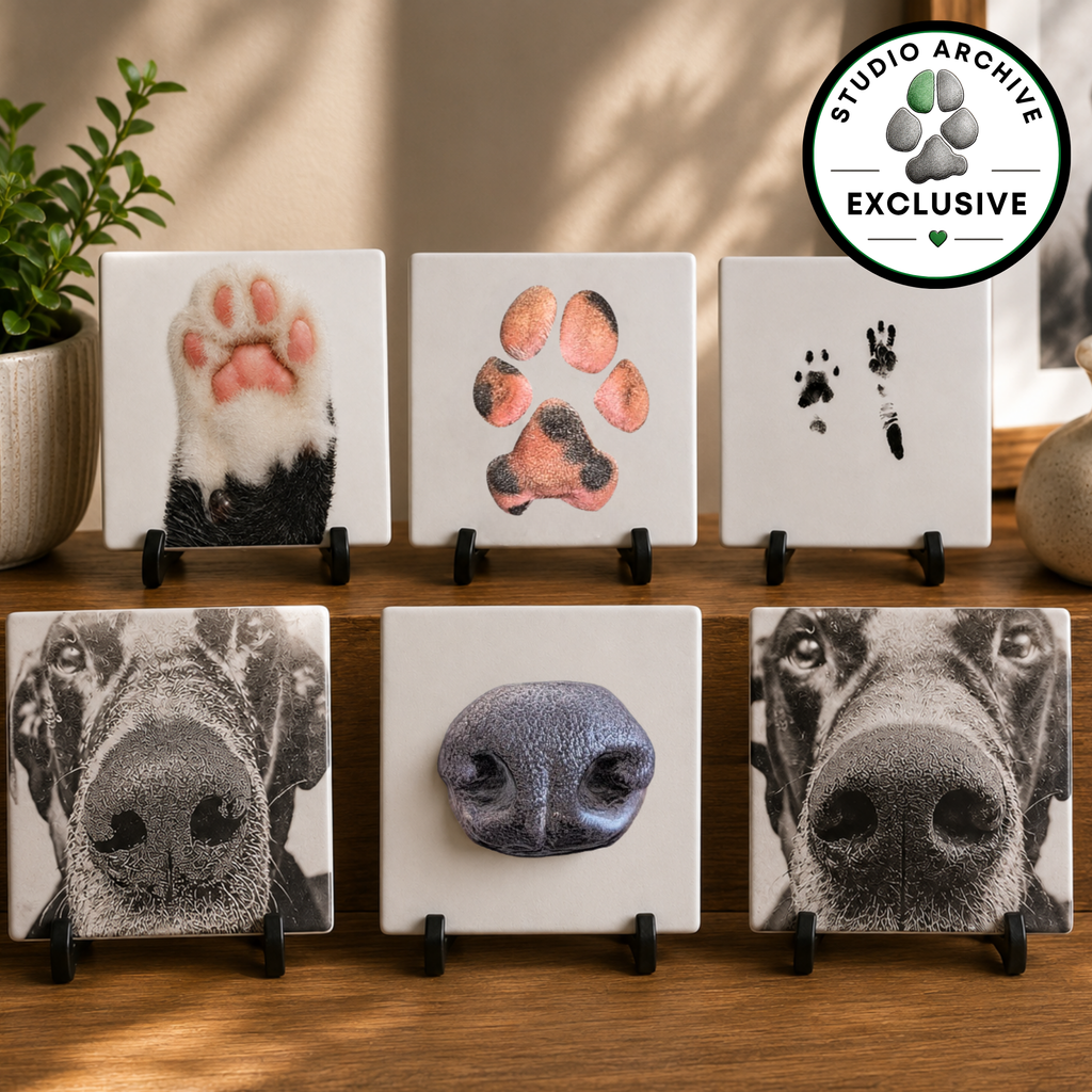 Ceramic Art Tile - 4x4 Square (Studio Archive Exclusive)