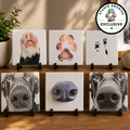 Ceramic Art Tile - 4x4 Square (Studio Archive Exclusive)