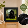Heartscape Portrait - Gentle Texture - 5x5 Framed