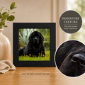Heartscape Portrait - Signature Texture - 5x5 Frame