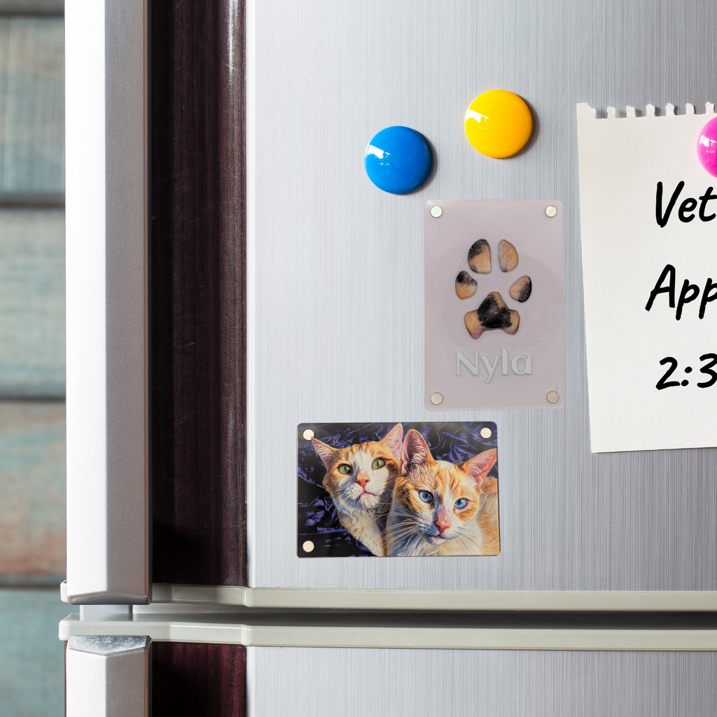 A close-up of a stainless steel refrigerator with several magnets and a paper note attached. The most relevant product appears to be the rectangular cat-photo magnet near the bottom center, showing two cats; other visible items include colorful refrigerator magnets and a white note, but these read as surrounding lifestyle context rather than the primary sold item.