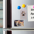 A close-up of a stainless steel refrigerator with several magnets and a paper note attached. The most relevant product appears to be the rectangular cat-photo magnet near the bottom center, showing two cats; other visible items include colorful refrigerator magnets and a white note, but these read as surrounding lifestyle context rather than the primary sold item.