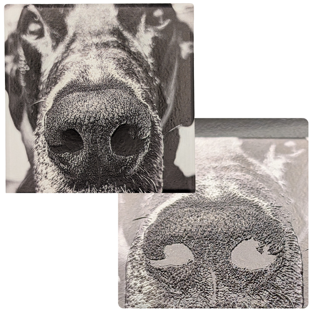 A close up of a great Dane that prominently features his nose is printed ona square ceramic coaster. A second picture is taken at an extreme angle showing the detailed texture of his nose print on the ceramic media.