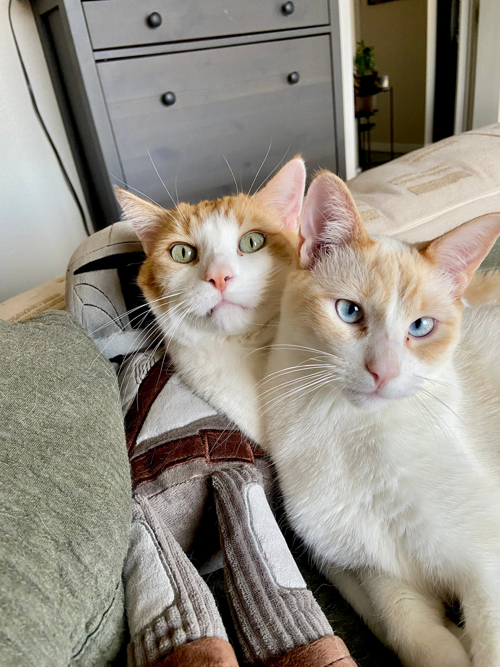 Oliver & Zuko