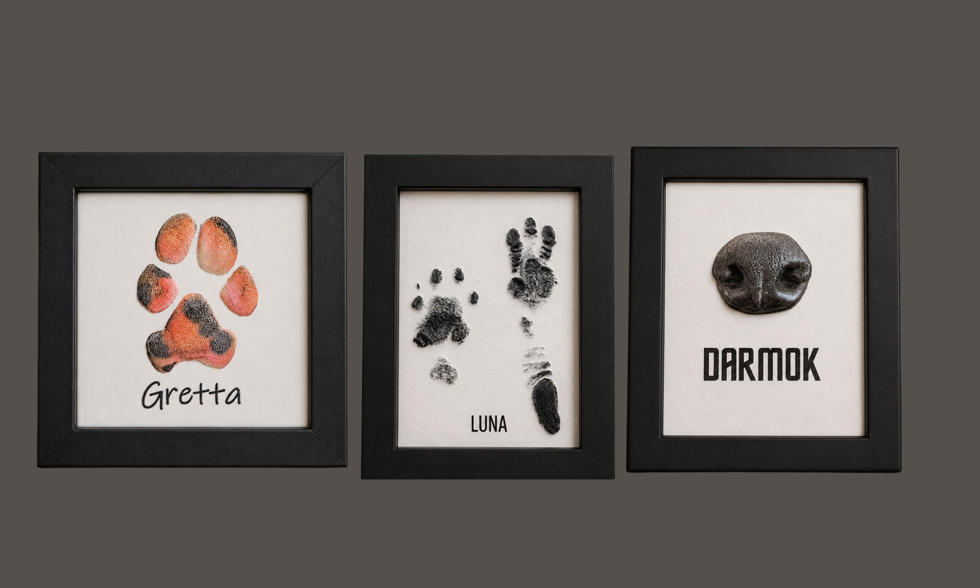 Framed paw, nose, and ink prints