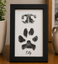 Framed print with nose and paw prints and the name 'Tilly' on a wooden surface.