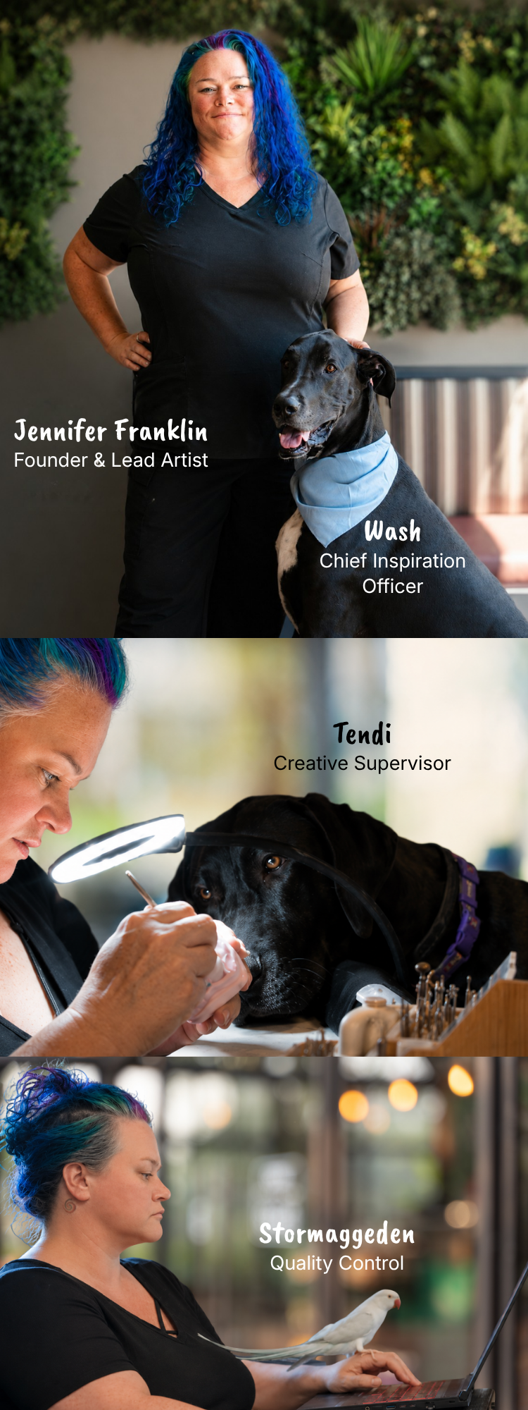 A three-panel collage showing a woman with blue hair and a black dog in different work settings, with text labels reading Jennifer Franklin, Wash, and Stormageden.