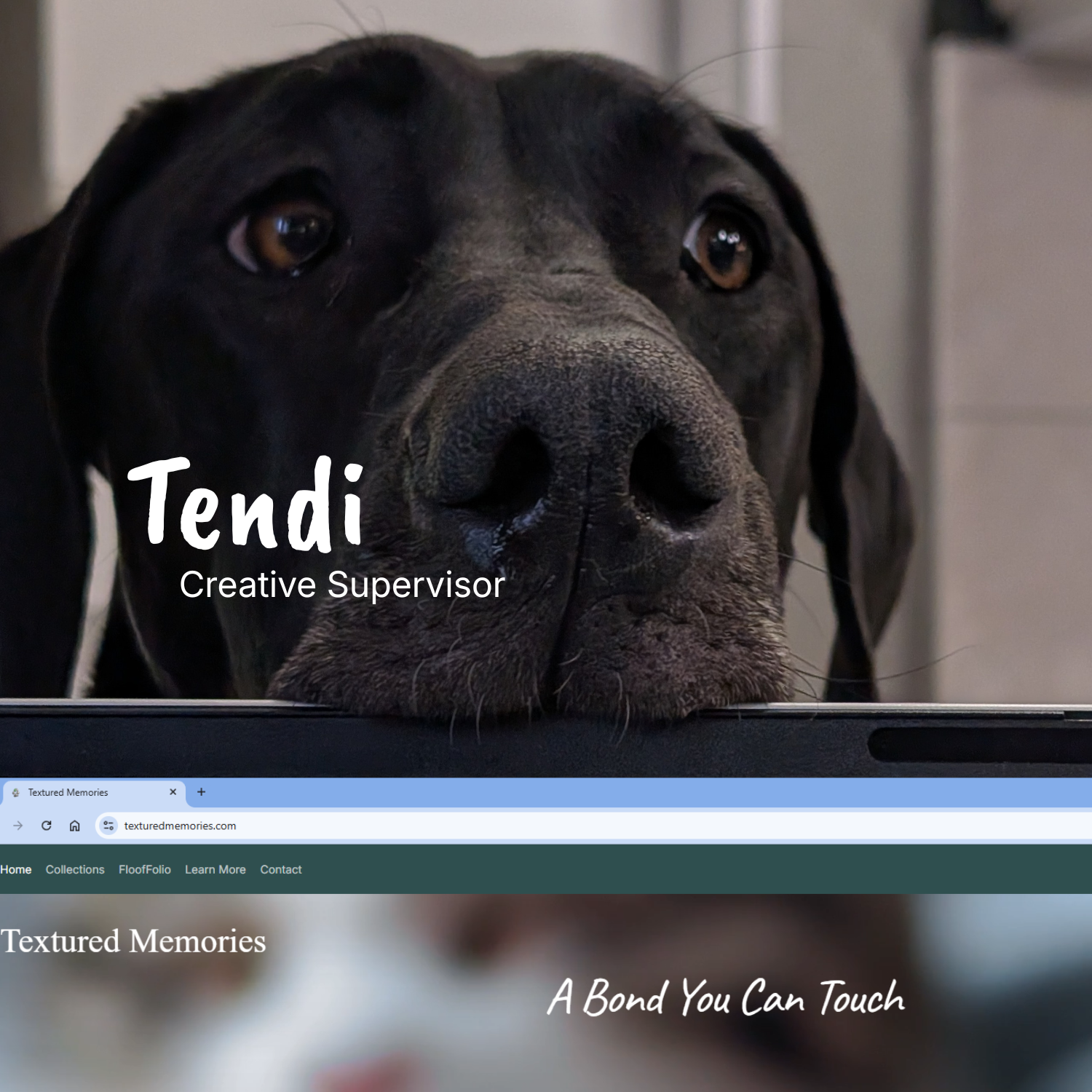 A close-up of a black Great Dane looking over a laptop screen, with overlaid text reading 'Tendi Creative Supervisor' and 'A Bond You Can Touch.'.