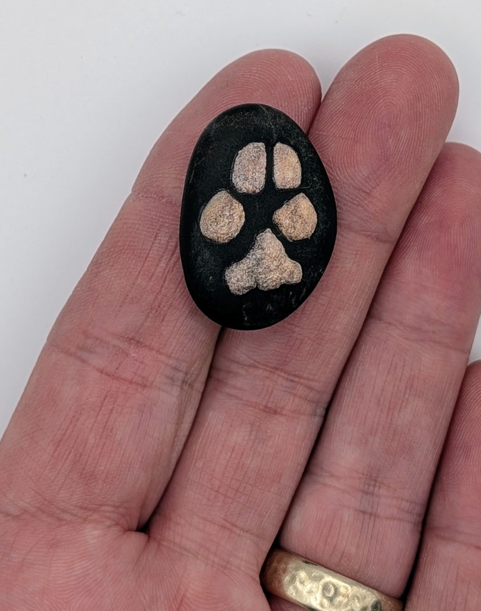 Stone with a dog's paw on it