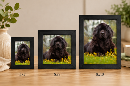 Add a 5x7 Framed Signature Textured Portrait