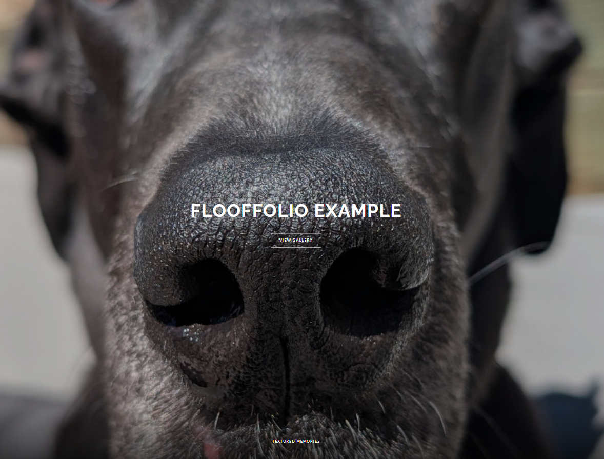 Add FloofFolio Digital Memory Gallery